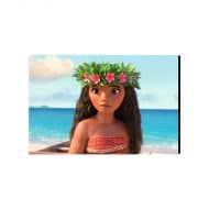 تابلو شاسی موانا Moana مدل STA141