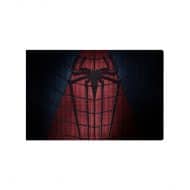 تابلو شاسی مرد عنکبوتی Spider Man مدل STA155