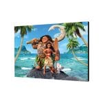 تابلو شاسی موانا Moana مدل STA143