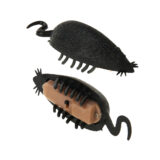 موش سرگرمی